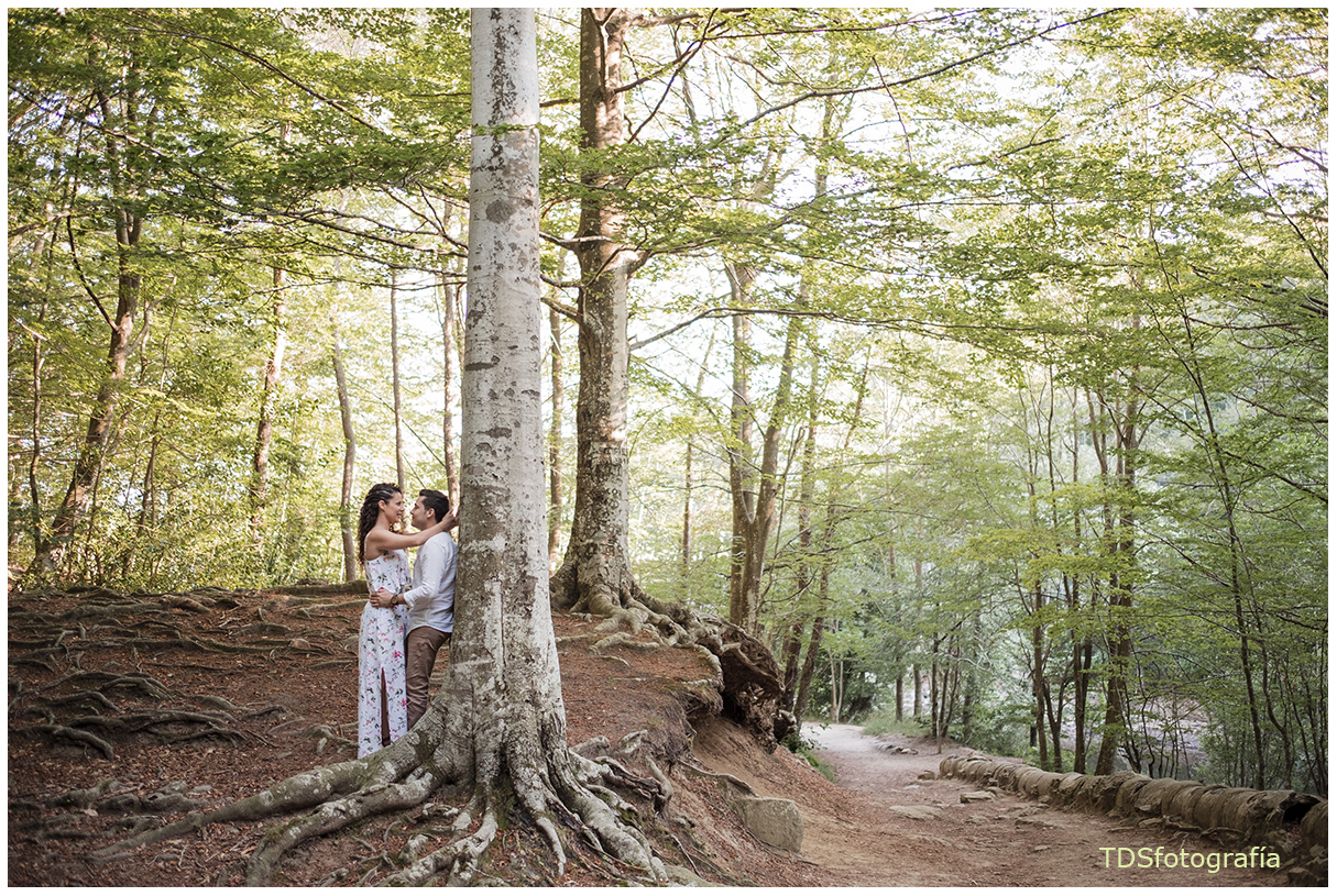 Sesión  preboda en el bosque